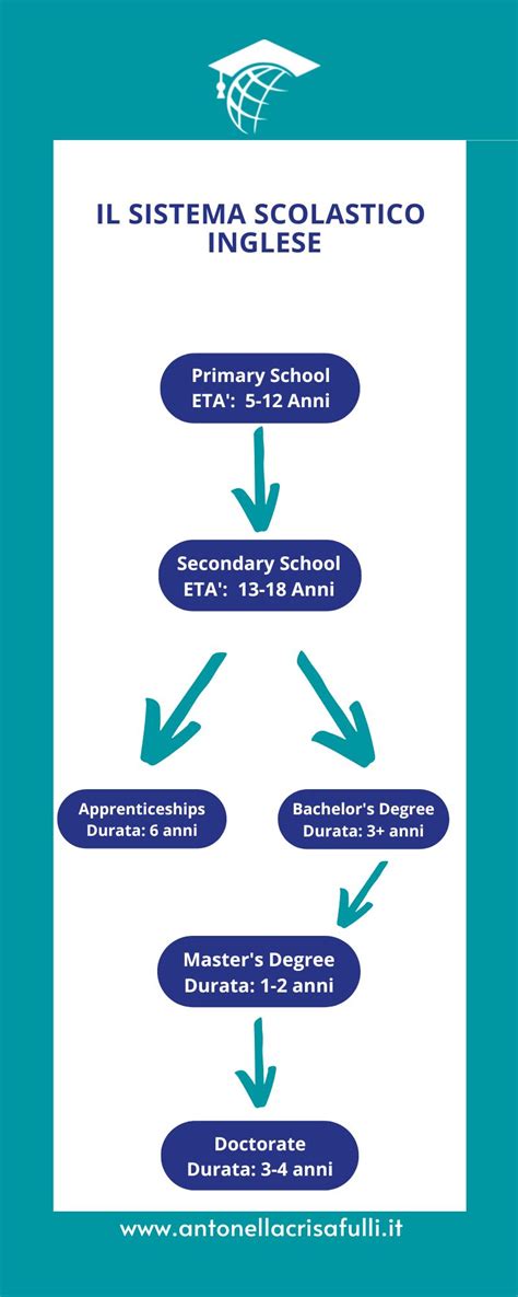 Infografica sulla formazione accademica e i percorsi di specializzazione del clero moderno tra teologia e pedagogia