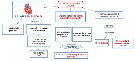 Schema concettuale che illustra il Cuore di Cristo come centro unificante tra l'esperienza spirituale personale e l'impegno sociale e missionario.
