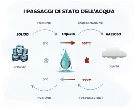 Infografica sulla provenienza e i passaggi storici della collezione di manoscritti vivaldiani dal 1741 al 1930