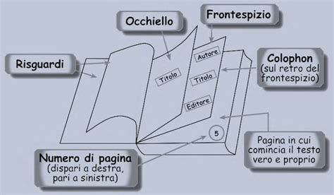 Infografica: Struttura del libro 