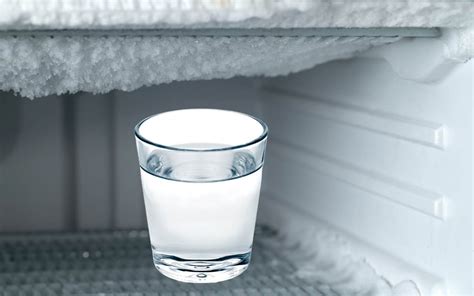 Gambi di basilico immersi in un bicchiere d'acqua nel frigorifero