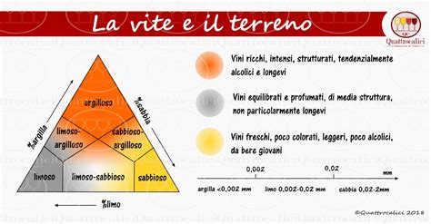Schema che illustra i quattro tipi di terreno e il destino del seme.