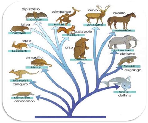 Schema concettuale: il parallelismo tra la sofferenza degli animali e il sacrificio cristologico nelle opere di Malaparte.