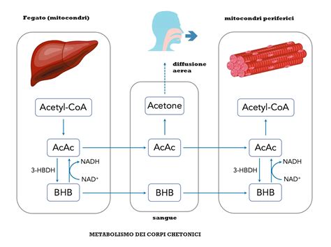 Schema concettuale che illustra la parrocchia come centro di comunione, missione e radicamento territoriale.