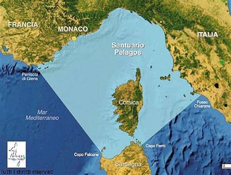 Mappa del Santuario dei Cetacei Pelagos che mostra l'estensione tra Liguria, Francia, Toscana e Corsica
