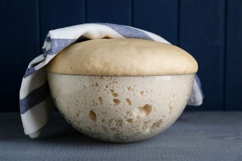 Infografica: Processo di lievitazione dell'impasto con indicazione delle ore e dell'idratazione