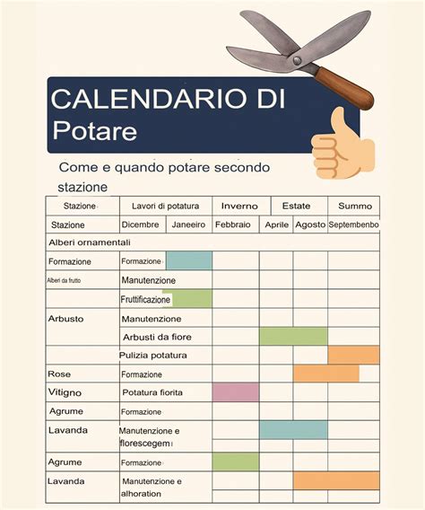 Infografica che illustra i servizi di potatura e manutenzione offerti dal vivaio