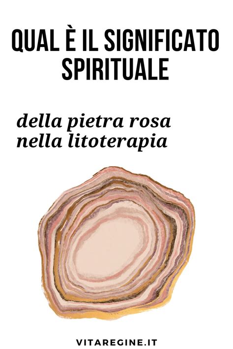 Schema grafico che illustra il significato spirituale della rosa: l'equilibrio tra la bellezza dei petali (grazia) e la presenza delle spine (sofferenza).