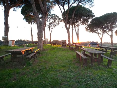 Foto di un'area pic-nic attrezzata nel verde con barbecue e giochi per bambini