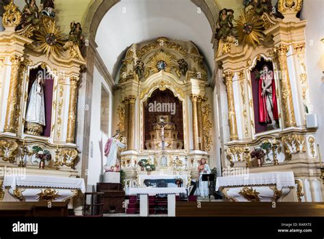 Interno della Chiesa dell'Immacolata, mostrando la navata unica, gli altari barocchi e l'apparato decorativo dell'abside