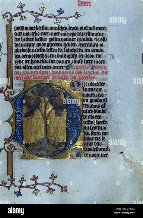 Manoscritto medievale con rappresentazione dell'Albero della Vita