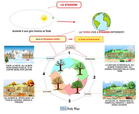 Schema concettuale che mette in relazione il ciclo della natura (stagioni), la metamorfosi biologica (crisalide/farfalla) e il concetto filosofico di resurrezione.