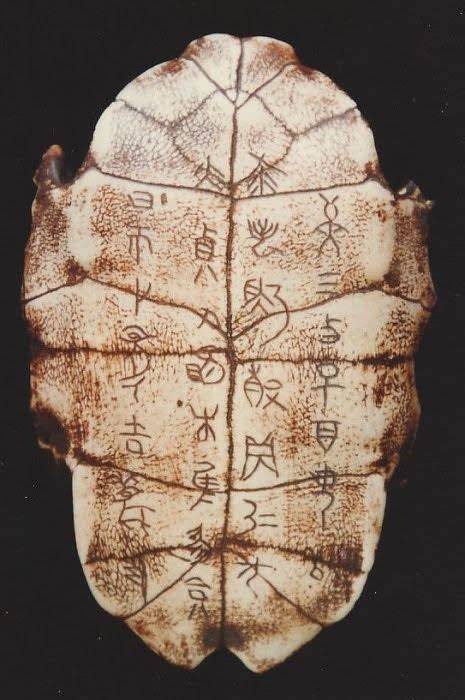 Foto di antichi gusci di tartaruga con iscrizioni oracolari cinesi