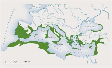 Mappa della distribuzione storica e attuale dell'Ibis eremita