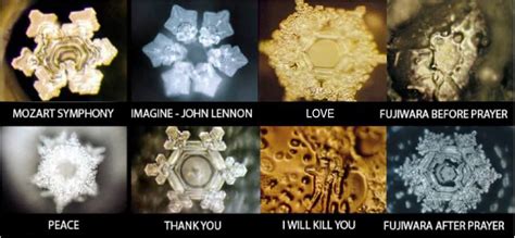 infografica sui cristalli d'acqua di Masaru Emoto che mostrano la reazione alle parole positive e negative