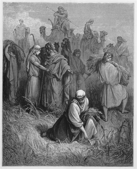 Illustrazione biblica di Rut nel campo di Boaz, enfatizzando l'incontro e l'accoglienza