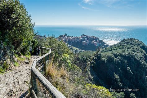 Panorama di Corniglia e la costa dalle alture del Sentiero Azzurro