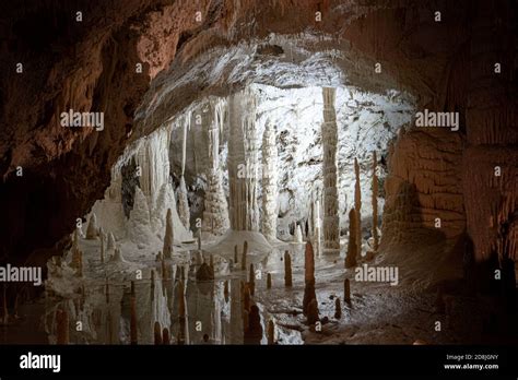 Immagine delle Grotte di Postumia con stalattiti e stalagmiti illuminate