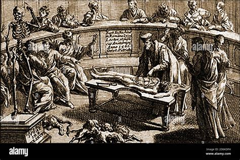 Illustrazione storica di Galeno che esegue una dissezione o studio anatomico