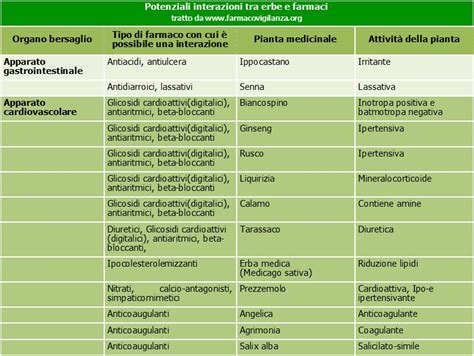 Rappresentazione grafica di piante medicinali e il loro utilizzo in fitoterapia
