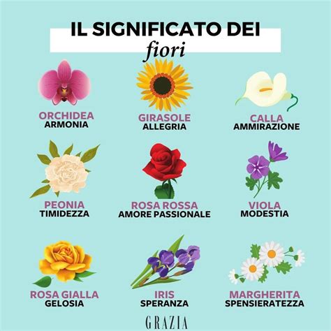 Illustrazione dei significati dei fiori tradizionali per monumenti funebri