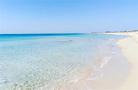 Panoramica della spiaggia di Pescoluse, 