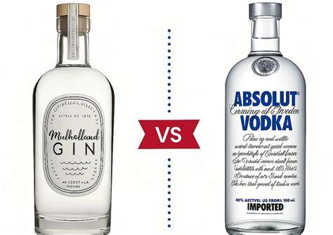 Gin e Vodka, membri dell'Organizzazione in Nero