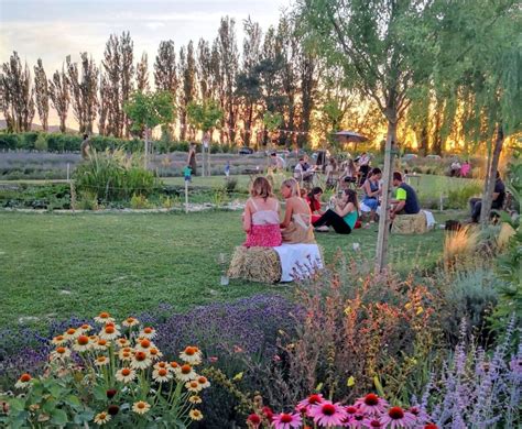 Vista panoramica del giardino de Il Lavandeto di Assisi con diverse piante in fiore.