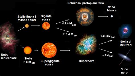 Schema evoluzione di una stella di massa solare