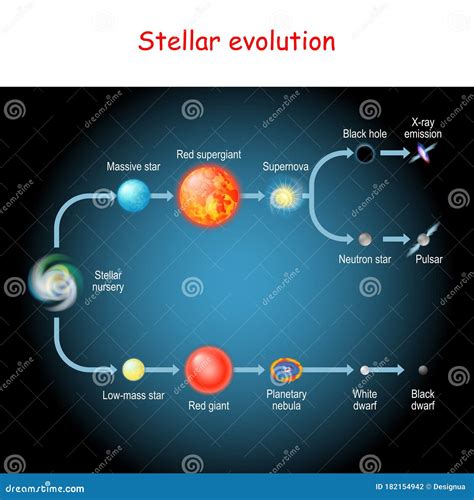 Schema evoluzione di una stella massiva