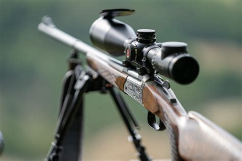 Immagine di una carabina da caccia o di un proiettile calibro 30/06