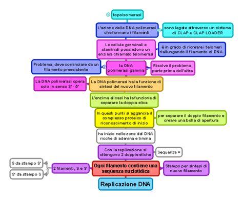 Schema di analisi del DNA su reperti storici