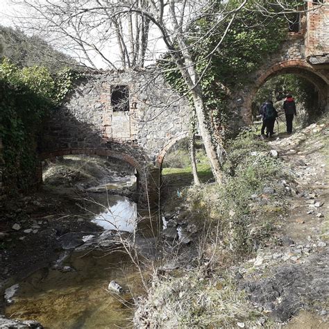 resti murari dell'eremo di San Michele alle Formiche immersi nella vegetazione