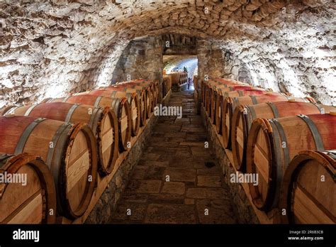 Interno di una cantina moderna con botti di rovere presso Abbazia Santa Anastasia