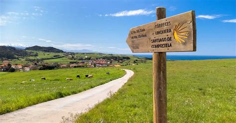 Allestimento di mostre sul Cammino de Santiago