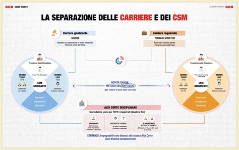 Infografica: Carriere di successo degli ex-studenti MISP nell'industria audiovisiva