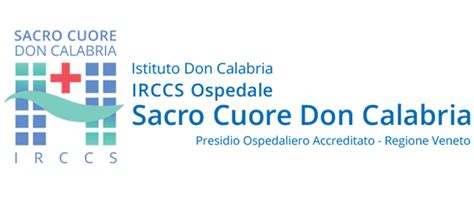 Mappa delle aree di parcheggio intorno all'ospedale Sacro Cuore Don Calabria a Negrar con indicazione delle diverse tipologie di posti auto e punti di accesso