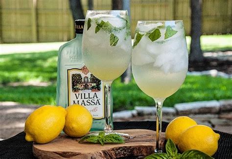 foto cocktail Villa Massa & Tonic con basilico e ghiaccio