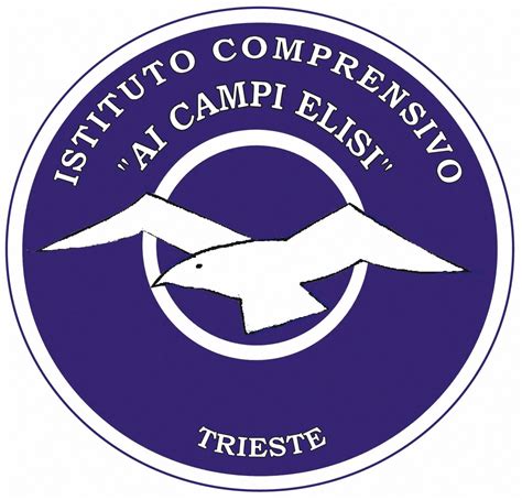 Infografica sulla composizione sociale del quartiere San Vito - Campi Elisi a Trieste