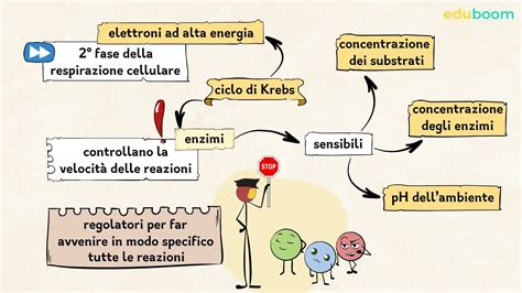 Schema del ciclo di alimentazione dei grilli e misure anti-cannibalismo