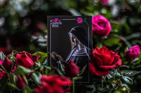 Foto di rose rosse, simbolo di Santa Rita