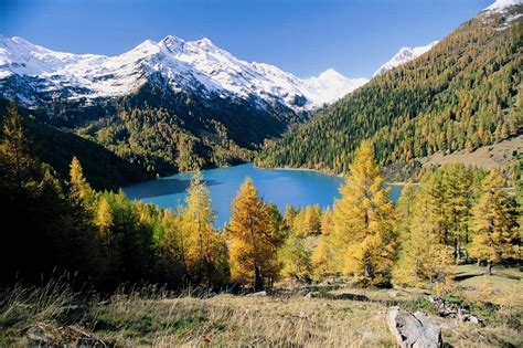 Escursionisti sui sentieri del Parco Nazionale dello Stelvio a Pejo