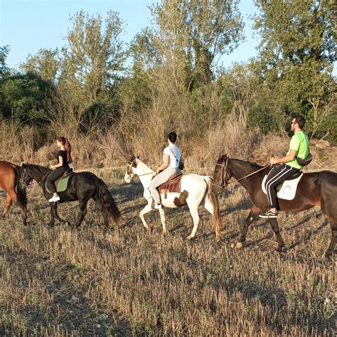 Parco Molinello, un cavallo con un bambino in sella, famiglie che passeggiano nel parco
