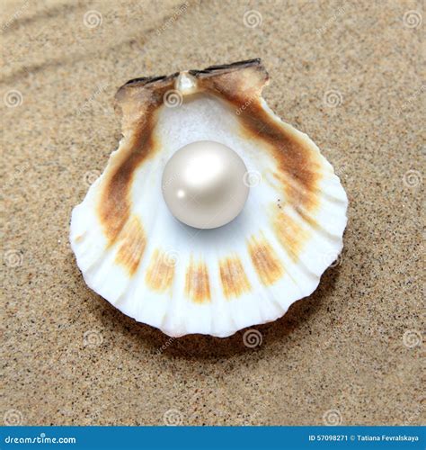 Conchiglia con perla