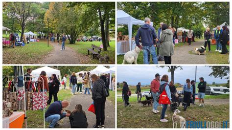 Concorso di cani in un parco con proprietari e pubblico