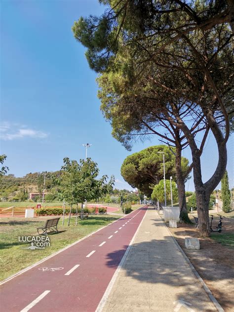 Foto di un tratto della ciclabile Modena-Vignola immersa nella campagna