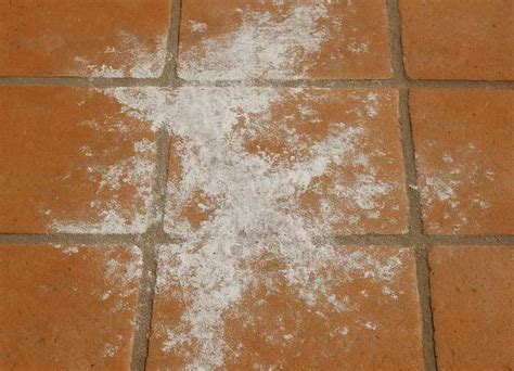 Dettaglio di mosaici danneggiati con tessere cadute e efflorescenze saline