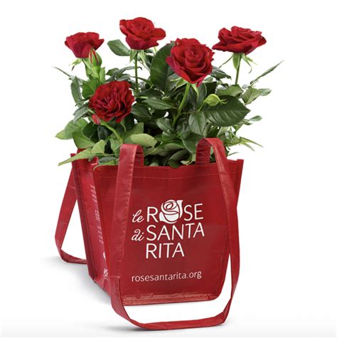 Foto dei volontari presso un banchetto informativo con le rose di Santa Rita