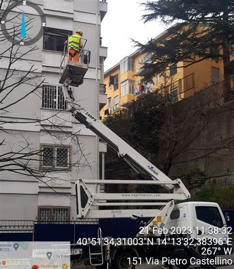 Foto documentativa dell'area esterna del Cva dopo gli interventi di potatura e installazione delle nuove recinzioni