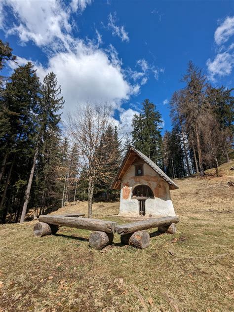 Panorama del bosco che circonda l'Eremo dei Romiti
